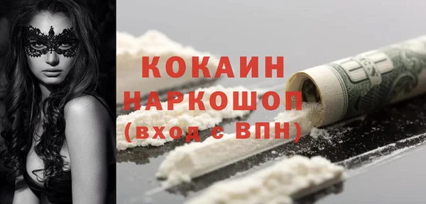 крисы Абаза